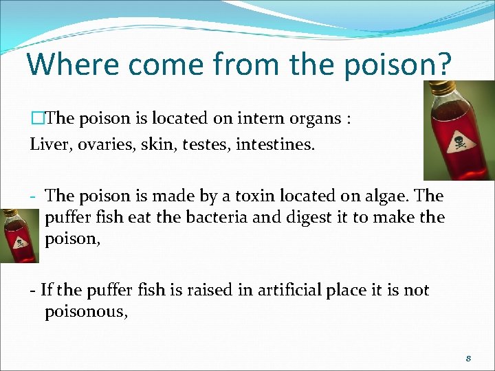 Where come from the poison? �The poison is located on intern organs : Liver,