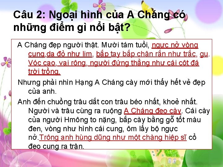 Câu 2: Ngoại hình của A Cháng điểm Câu 2: Ngoại hình của có