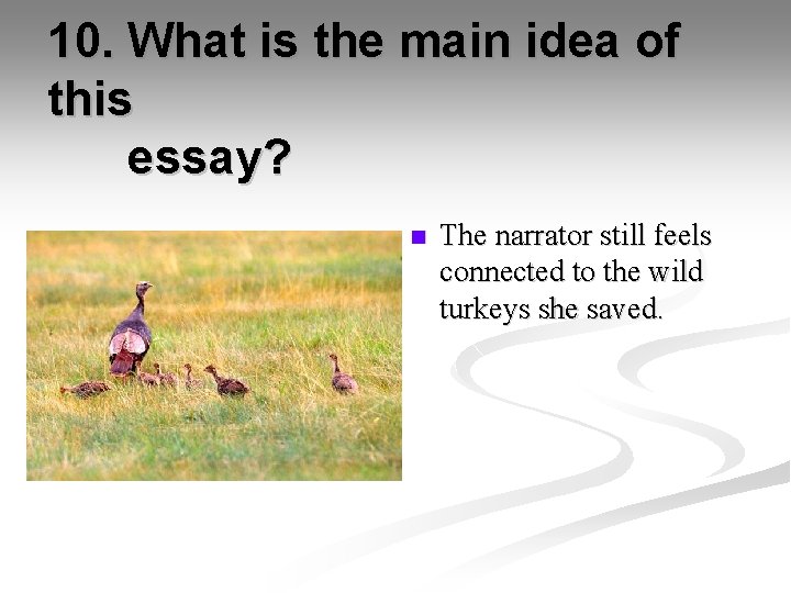 10. What is the main idea of this essay? n The narrator still feels