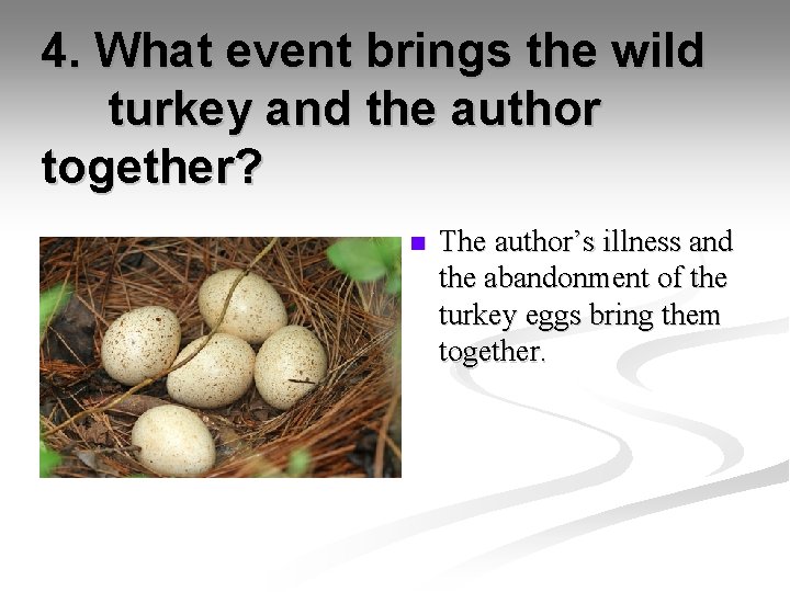 4. What event brings the wild turkey and the author together? n The author’s
