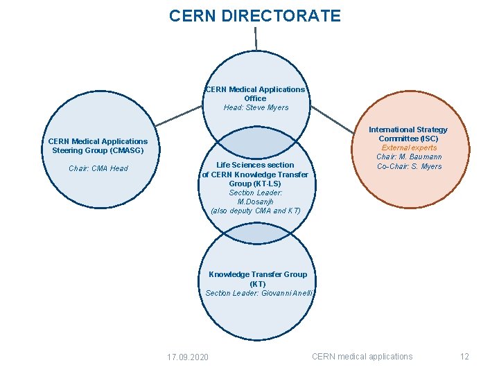 CERN DIRECTORATE CERN Medical Applications Office Head: Steve Myers CERN Medical Applications Steering Group