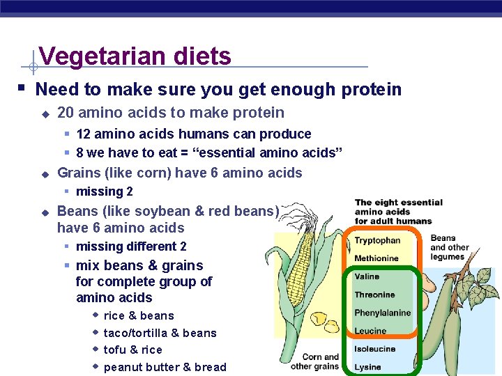 Vegetarian diets § Need to make sure you get enough protein u 20 amino