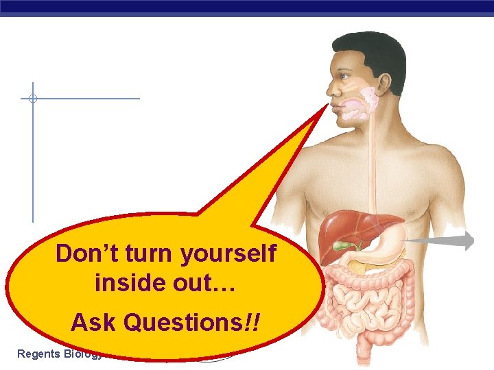 Don’t turn yourself inside out… Ask Questions!! Regents Biology 2006 -2007 