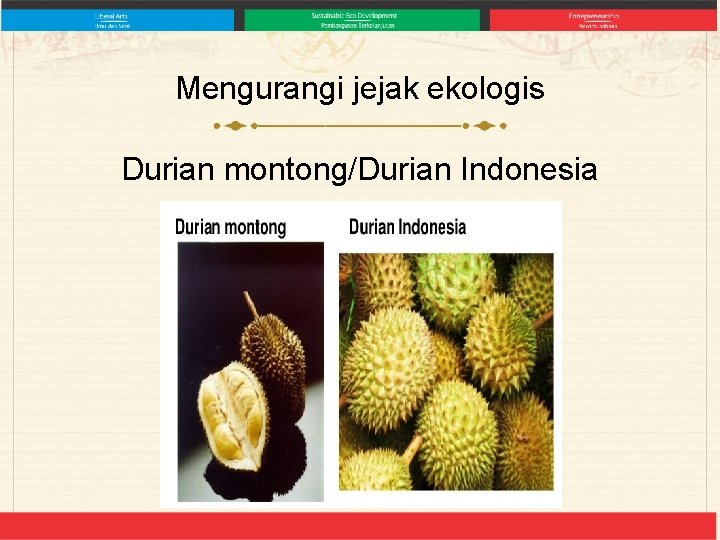 Mengurangi jejak ekologis Durian montong/Durian Indonesia 