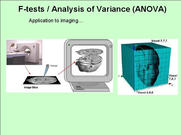 F-tests / Analysis of Variance (ANOVA) Application to imaging… 