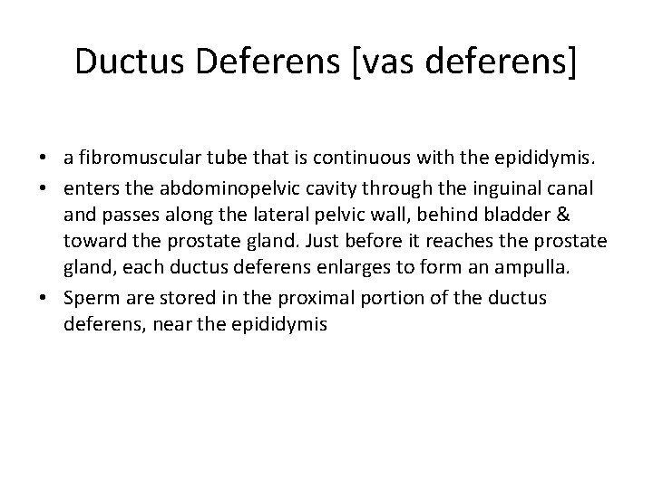 Ductus Deferens [vas deferens] • a fibromuscular tube that is continuous with the epididymis.