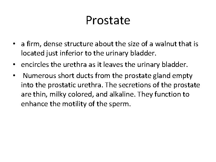 Prostate • a firm, dense structure about the size of a walnut that is