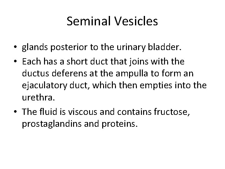 Seminal Vesicles • glands posterior to the urinary bladder. • Each has a short