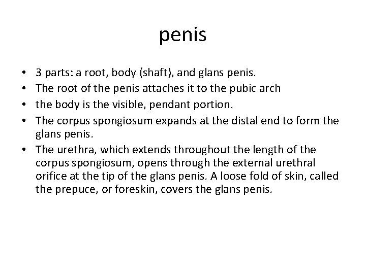 penis 3 parts: a root, body (shaft), and glans penis. The root of the