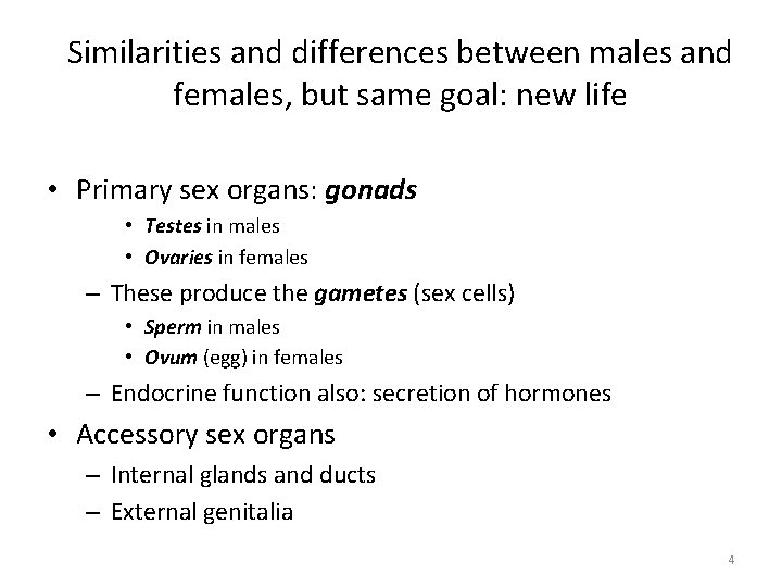 Similarities and differences between males and females, but same goal: new life • Primary