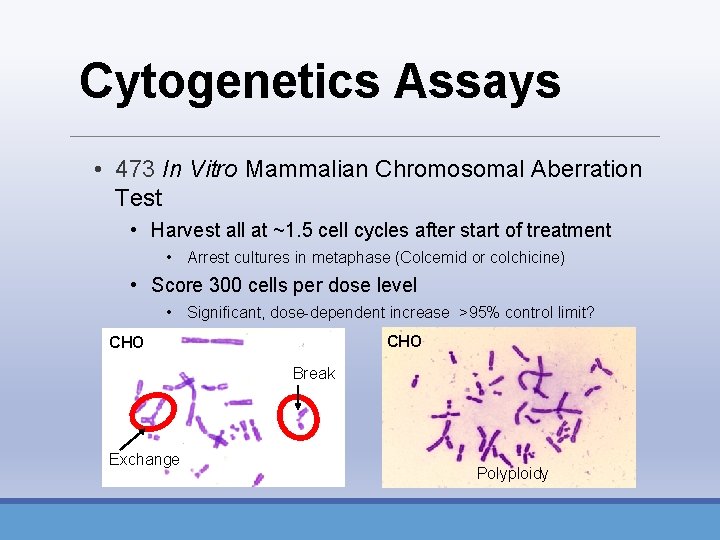 Cytogenetics Assays • 473 In Vitro Mammalian Chromosomal Aberration Test • Harvest all at