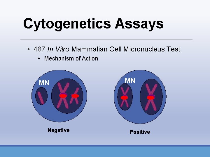 Cytogenetics Assays • 487 In Vitro Mammalian Cell Micronucleus Test • Mechanism of Action