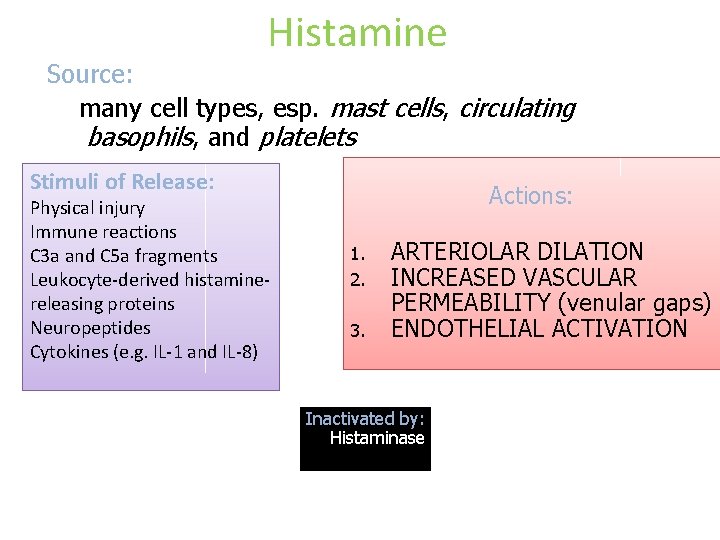 Histamine Source: many cell types, esp. mast cells, circulating basophils, and platelets Stimuli of