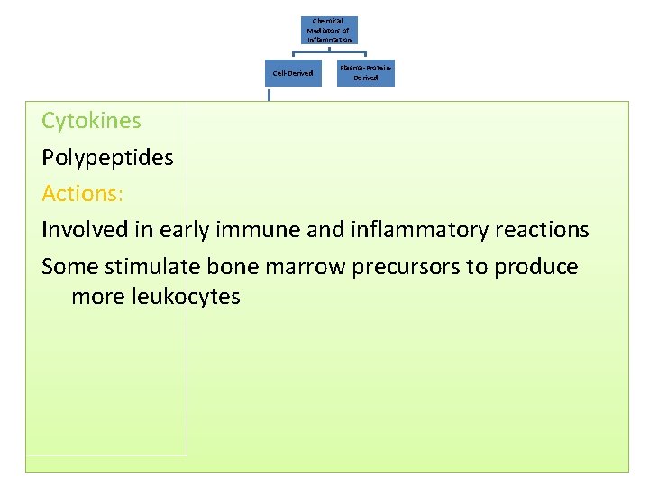 Chemical Mediators of Inflammation Cell-Derived Plasma-Protein. Derived Cytokines Polypeptides Actions: Involved in early immune