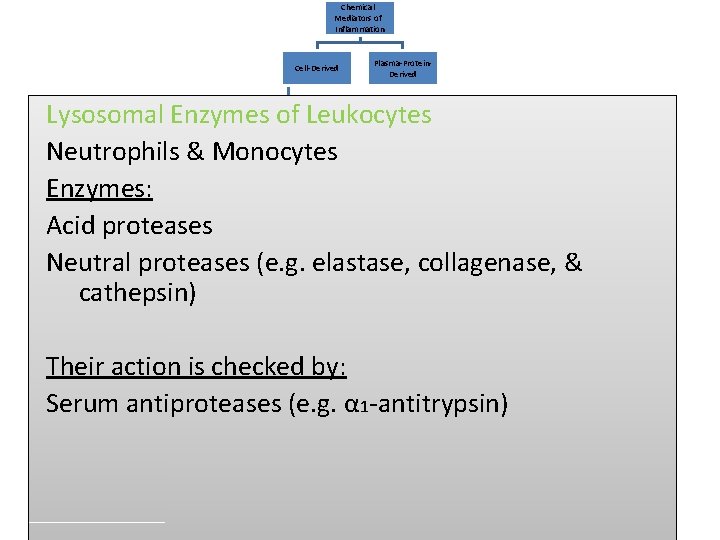 Chemical Mediators of Inflammation Cell-Derived Plasma-Protein. Derived Lysosomal Enzymes of Leukocytes Neutrophils & Monocytes