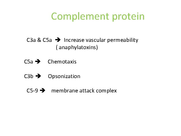 Complement protein C 3 a & C 5 a Increase vascular permeability ( anaphylatoxins)