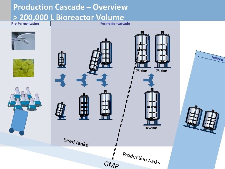 Production Cascade – Overview > 200, 000 L Bioreactor Volume Pre-Fermentation Fermenter cascade Harve Production Cascade – Overview > 200, 000 L Bioreactor Volume Pre-Fermentation Fermenter cascade Harve