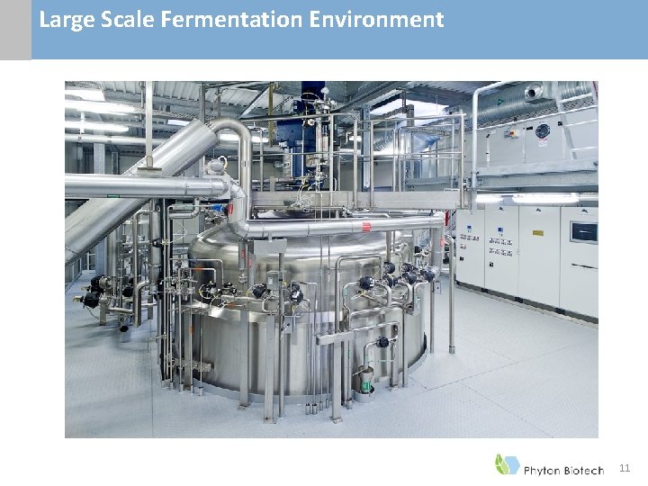 Large Scale Fermentation Environment 11 Large Scale Fermentation Environment 11