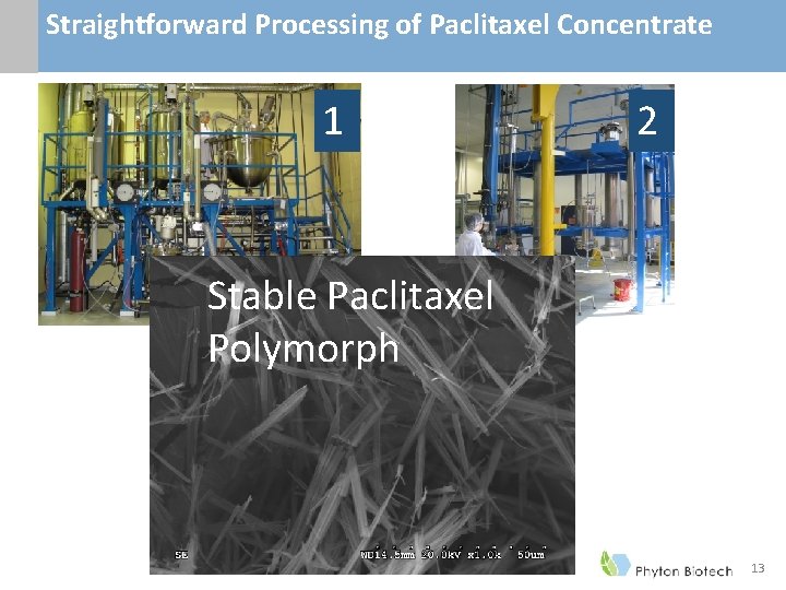 Straightforward Processing of Paclitaxel Concentrate 1 2 Stable Paclitaxel Polymorph 13 Straightforward Processing of Paclitaxel Concentrate 1 2 Stable Paclitaxel Polymorph 13