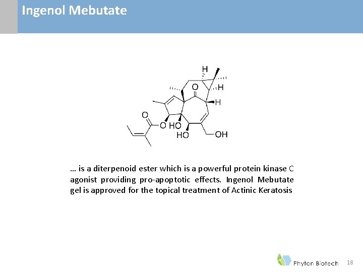 Ingenol Mebutate … is a diterpenoid ester which is a powerful protein kinase C Ingenol Mebutate … is a diterpenoid ester which is a powerful protein kinase C
