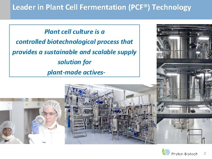 Leader in Plant Cell Fermentation (PCF®) Technology Plant cell culture is a controlled biotechnological Leader in Plant Cell Fermentation (PCF®) Technology Plant cell culture is a controlled biotechnological