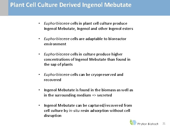 Plant Cell Culture Derived Ingenol Mebutate • Euphorbiaceae cells in plant cell culture produce Plant Cell Culture Derived Ingenol Mebutate • Euphorbiaceae cells in plant cell culture produce