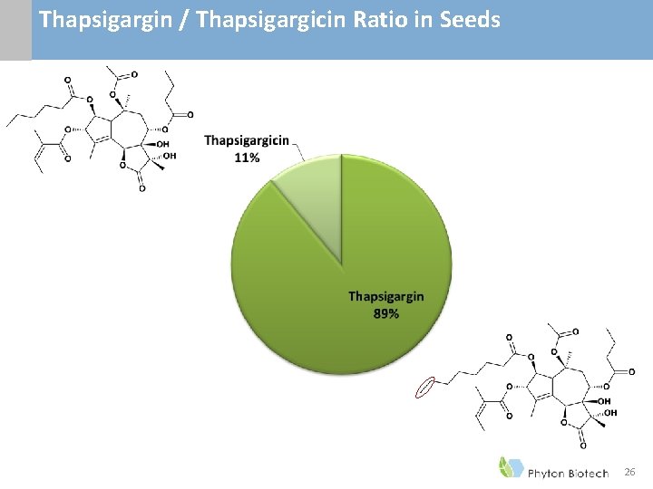 Thapsigargin / Thapsigargicin Ratio in Seeds 26 Thapsigargin / Thapsigargicin Ratio in Seeds 26