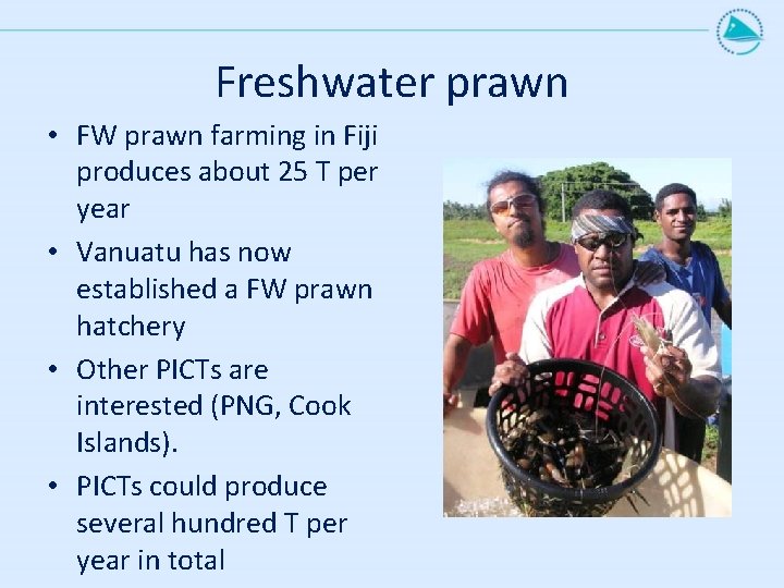 Freshwater prawn • FW prawn farming in Fiji produces about 25 T per year