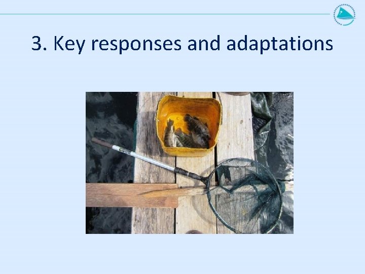 3. Key responses and adaptations 