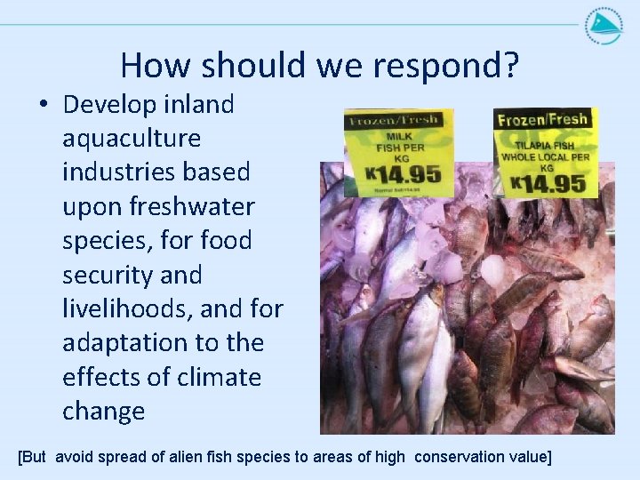 How should we respond? • Develop inland aquaculture industries based upon freshwater species, for