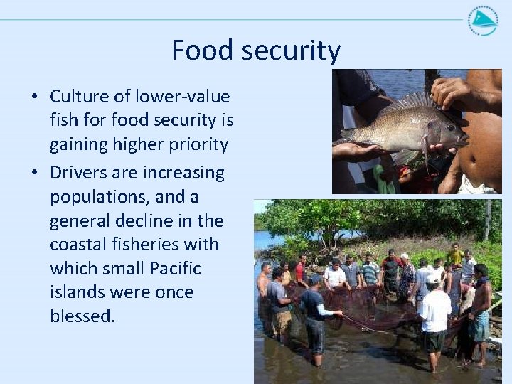 Food security • Culture of lower-value fish for food security is gaining higher priority