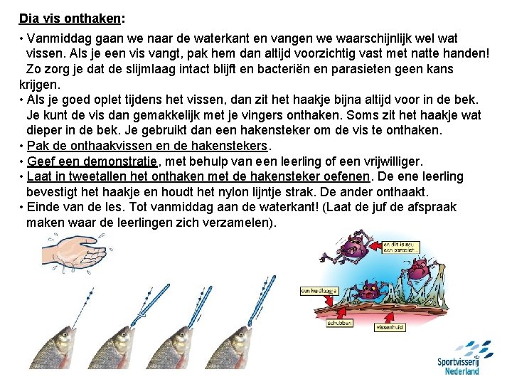 Dia vis onthaken: • Vanmiddag gaan we naar de waterkant en vangen we waarschijnlijk