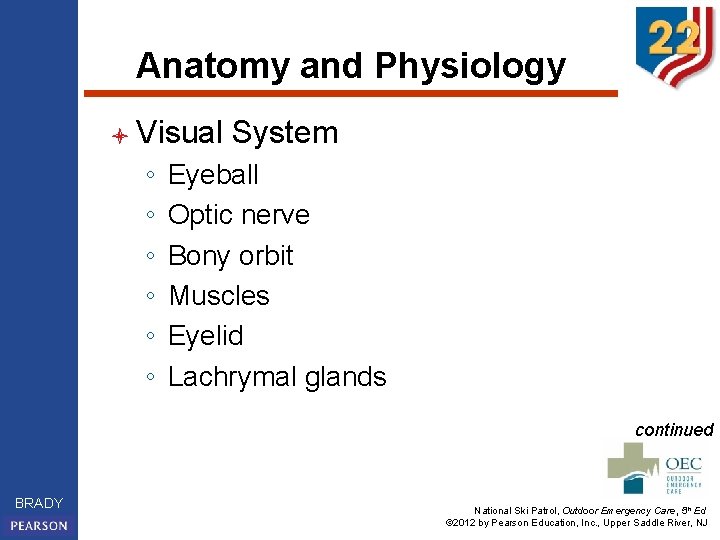 Anatomy and Physiology l Visual ◦ ◦ ◦ System Eyeball Optic nerve Bony orbit