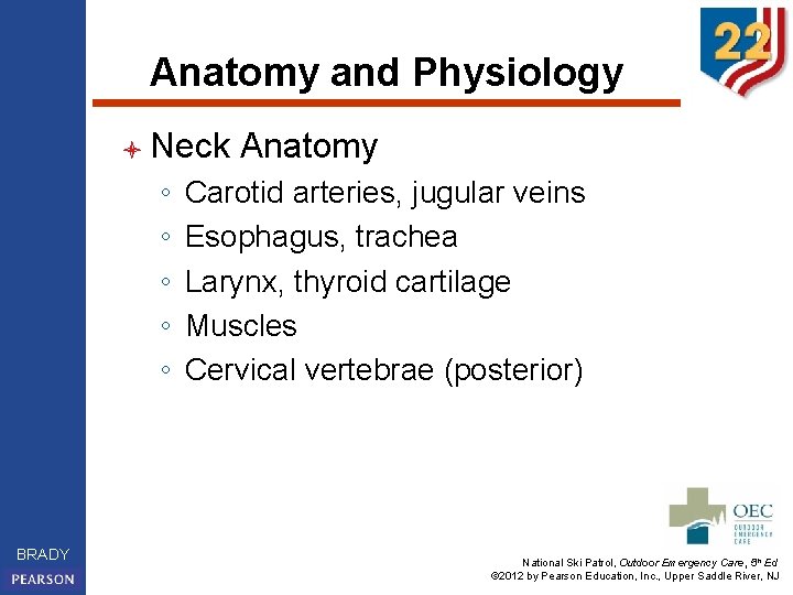 Anatomy and Physiology l Neck ◦ ◦ ◦ BRADY Anatomy Carotid arteries, jugular veins