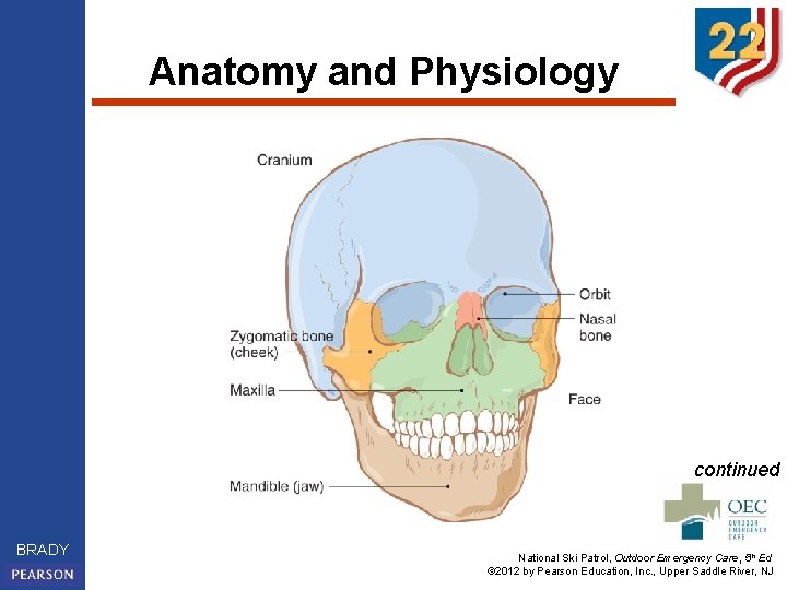 Anatomy and Physiology continued BRADY National Ski Patrol, Outdoor Emergency Care, 5 th Ed