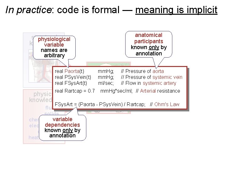 In practice: code is formal — meaning is implicit structural physiological knowledge variable names