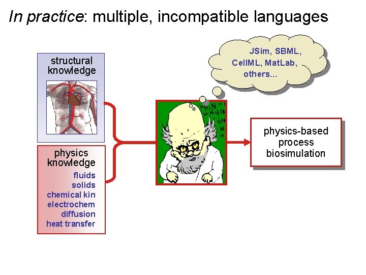 In practice: multiple, incompatible languages structural knowledge physics knowledge fluids solids chemical kin electrochem