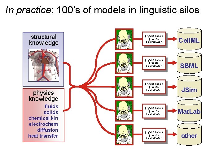 In practice: 100’s of models in linguistic silos structural knowledge physics-based process biosimulation physics