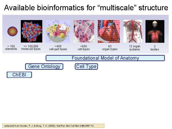 Available bioinformatics for “multiscale” structure > 100 elements >> 100, 000 molecule types >400