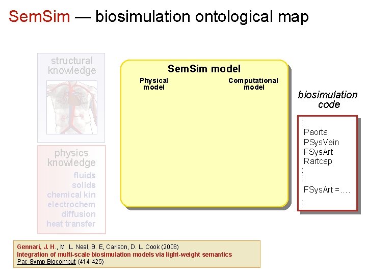 Sem. Sim — biosimulation ontological map structural knowledge Sem. Sim model Physical model Computational