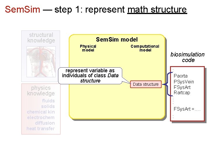 Sem. Sim — step 1: represent math structure structural knowledge Sem. Sim model Physical