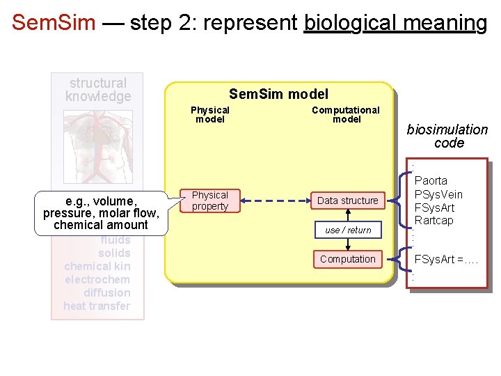 Sem. Sim — step 2: represent biological meaning structural knowledge Sem. Sim model Physical