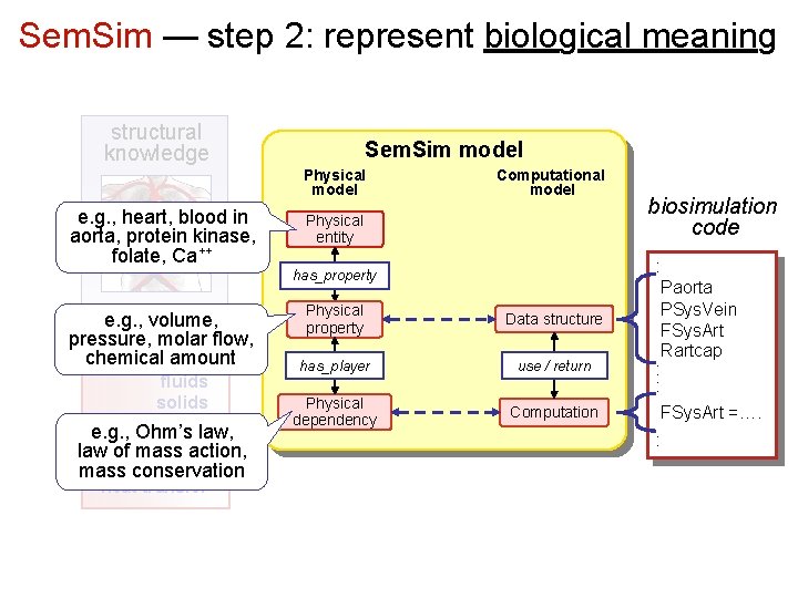 Sem. Sim — step 2: represent biological meaning structural knowledge Sem. Sim model Physical