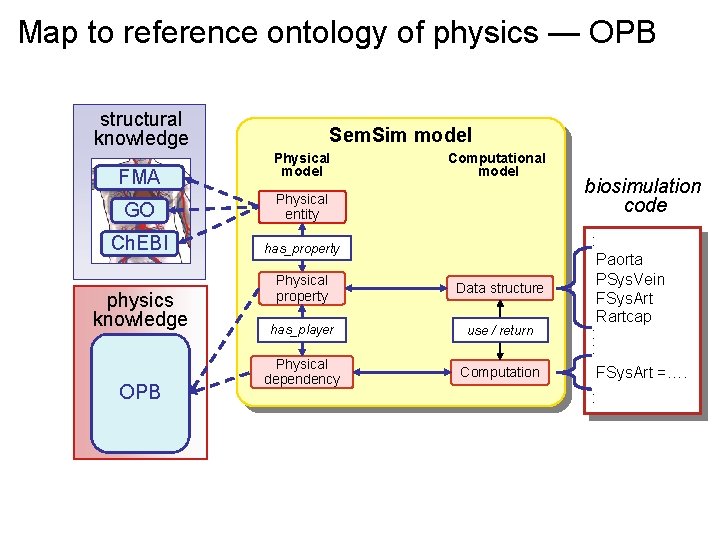 Map to reference ontology of physics — OPB structural knowledge FMA Sem. Sim model
