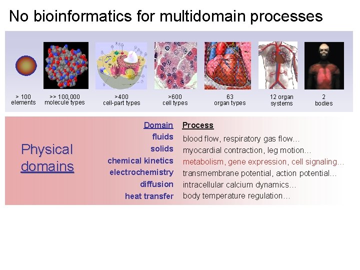 No bioinformatics for multidomain processes > 100 elements >> 100, 000 molecule types Physical