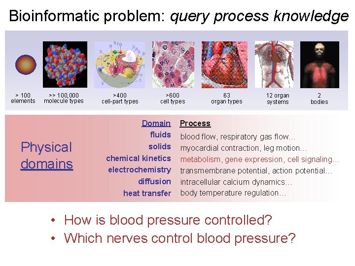 Bioinformatic problem: query process knowledge > 100 elements >> 100, 000 molecule types Physical