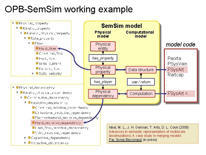 OPB-Sem. Sim working example Sem. Sim model Physical model Computational model code Physical entity