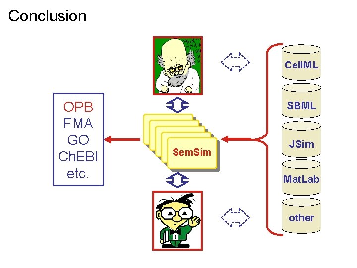 Conclusion Cell. ML OPB FMA GO Ch. EBI etc. SBML Sem. Sim JSim Mat.