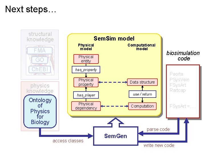 Next steps… structural knowledge Sem. Sim model Physical model FMA GO Physical entity Ch.