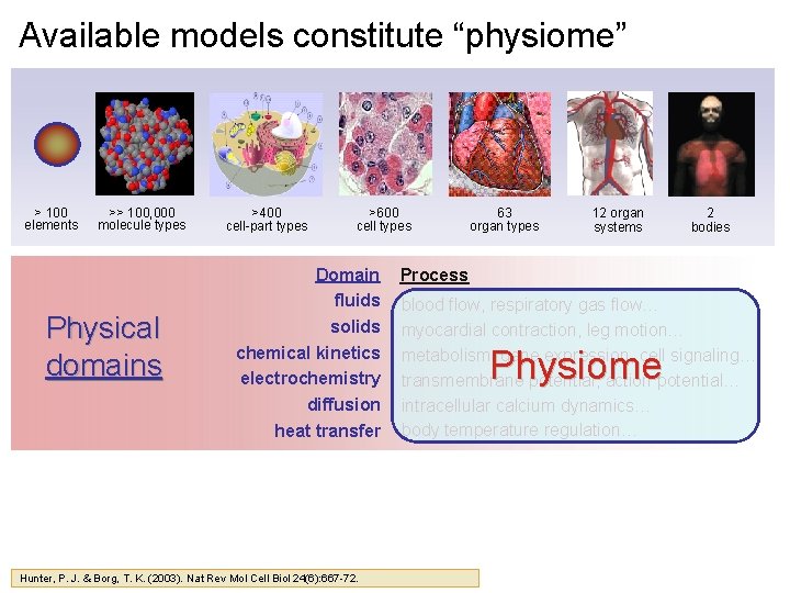 Available models constitute “physiome” > 100 elements >> 100, 000 molecule types Physical domains